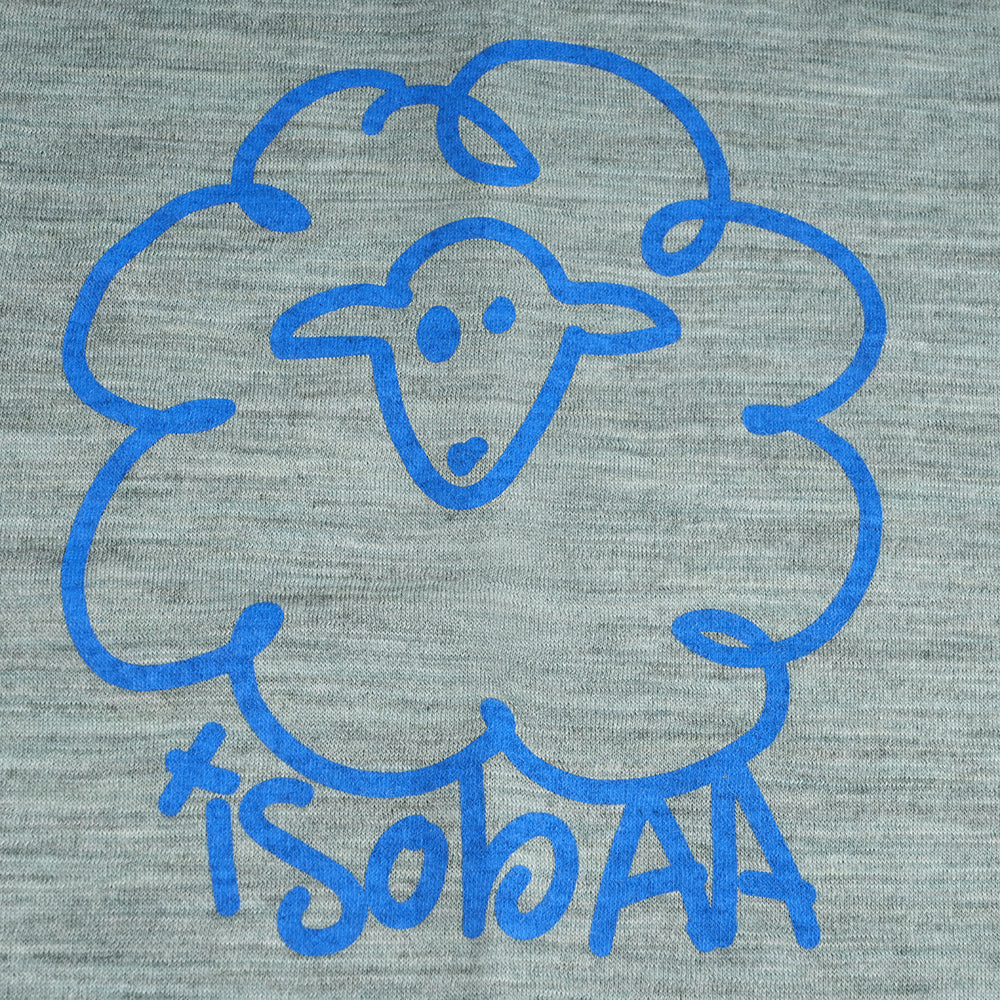 Kids Merino 150 Wool Explorer LS Tee (Agave)