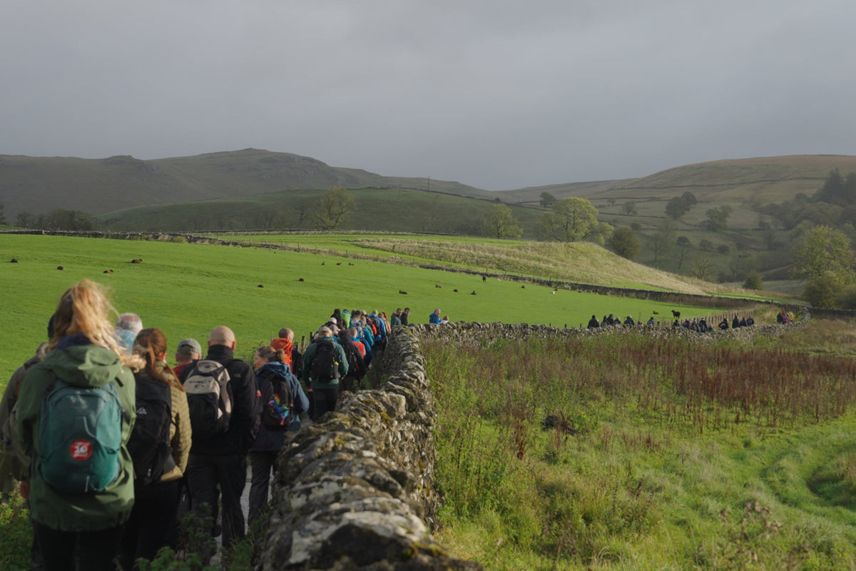 A group of hikers with backpacks walks along a stone wall in a lush green valley