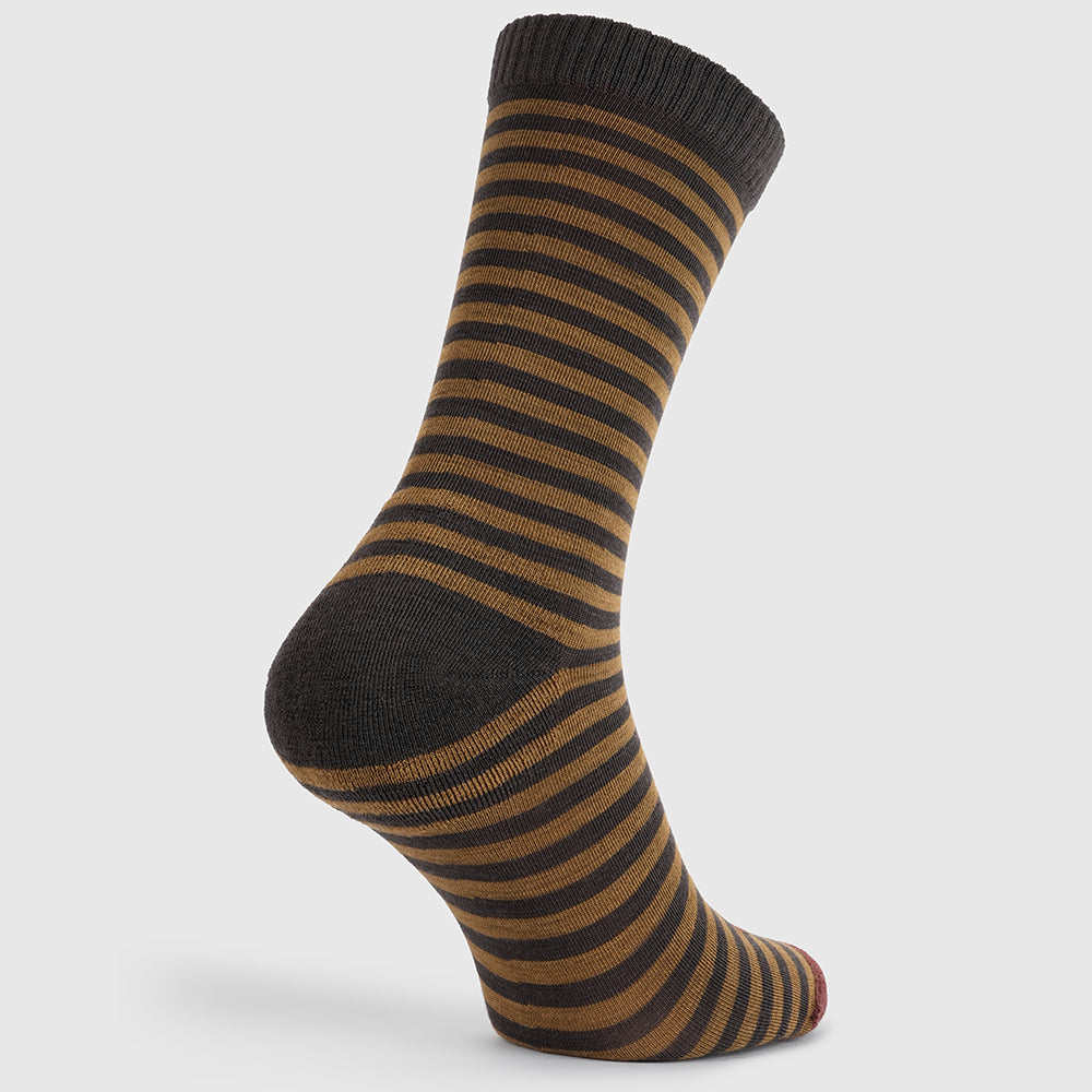 Merino Blend Everyday Socks (3 Pack - Chocolate/Dull Gold)
